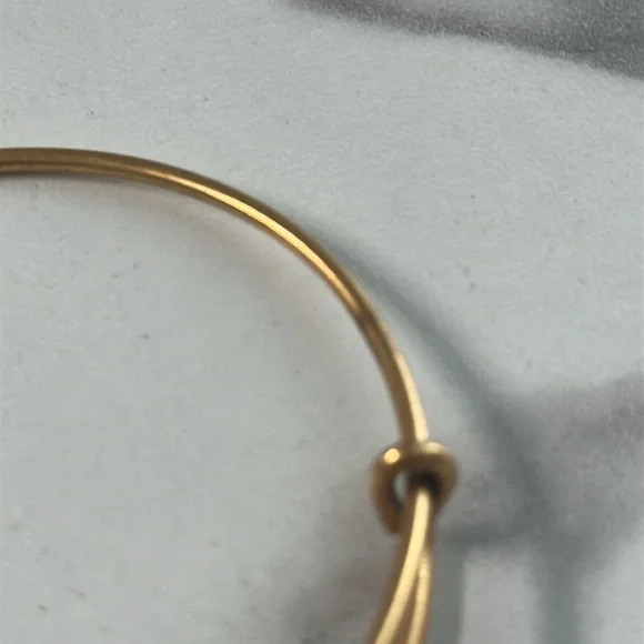 Pre owned Alex and Ani 2014 Charm Bangle Bracelet - Picture 9 of 13